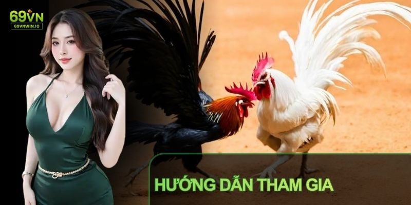 Đá Gà Thomo Tại 69VN - Sàn Đấu Kịch Tính Từ Campuchia 3 Luật chơi đá gà Thomo được xây dựng theo hướng dễ hiểu